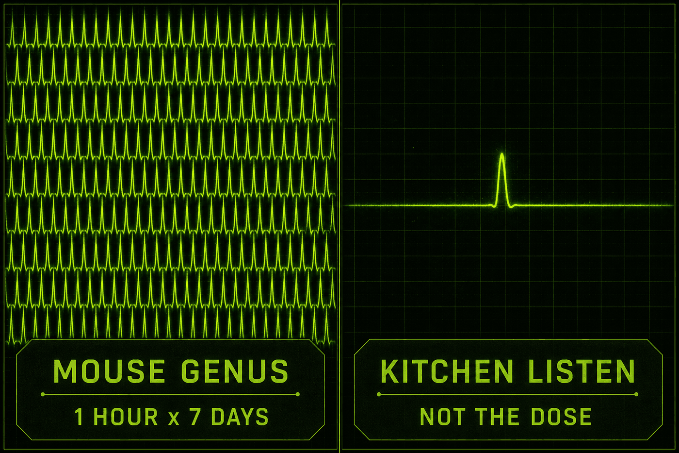 Side by side oscilloscope panels. Left: dense 40Hz pulse train labeled Mouse GENUS, 1 hour times 7 days. Right: a single spike labeled Kitchen listen, not the dose.