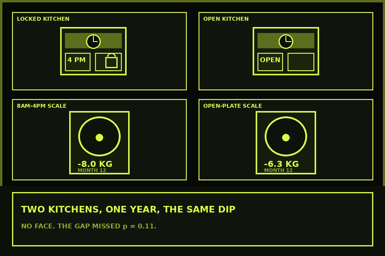 Dark lime drawing of two kitchens, a 4pm lock, and two analog scales in the same dip. No face.