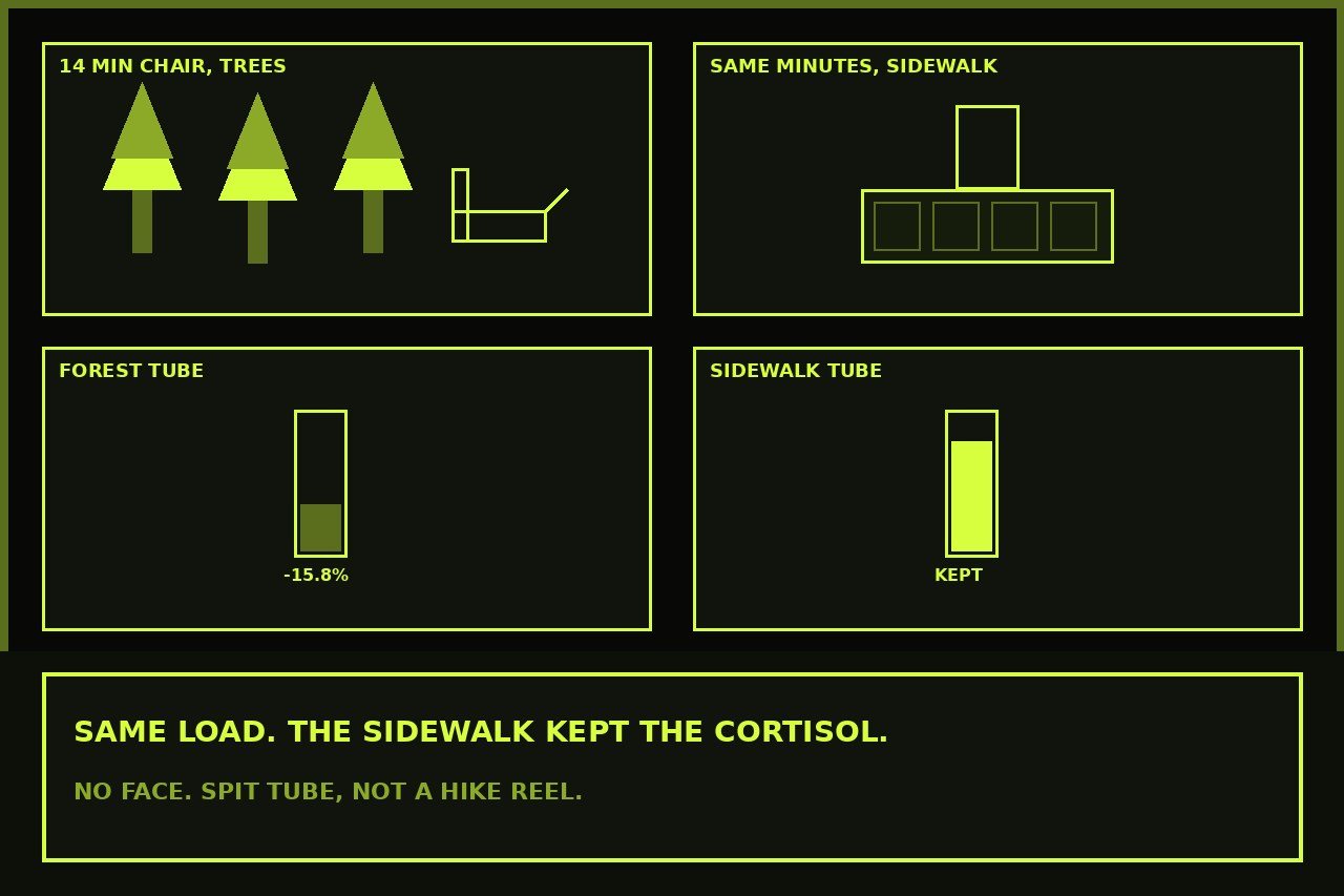 Dark lime drawing of a 14-minute chair under trees next to a sidewalk, two spit tubes, forest tube lower. No face.