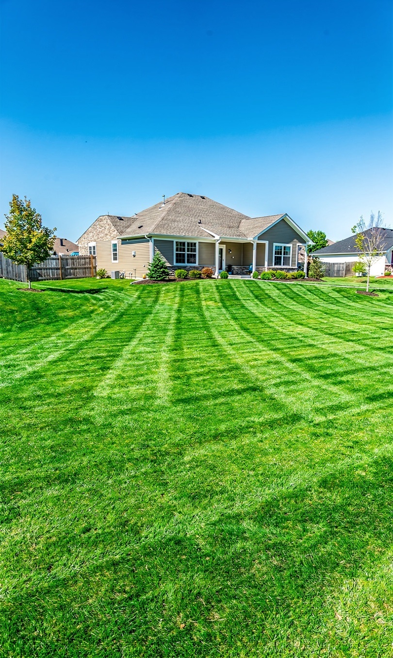 Perfectly manicured lawn
