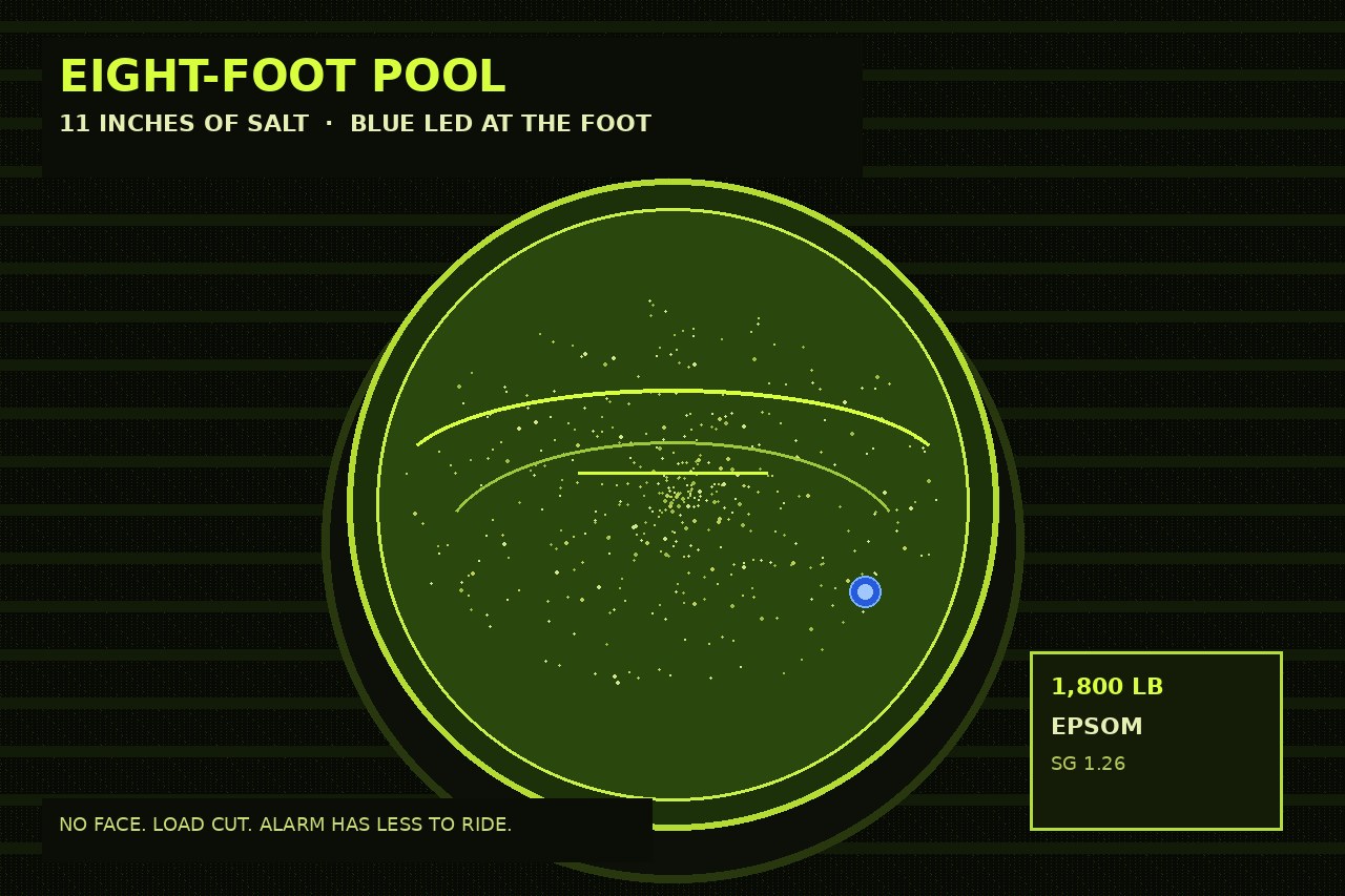 Dark lime drawing of an eight-foot circular salt pool, eleven inches of water, a blue LED at the foot. No face.