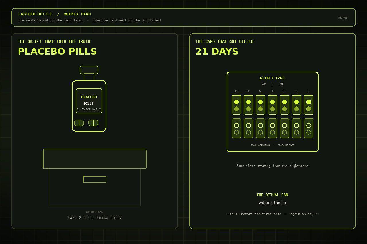 Dark lime drawing of a bottle labeled PLACEBO beside a weekly card with two morning slots and two night slots.